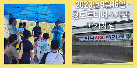 성장과나눔 동아리 – 이주민센터 봉사활동(2023.09.16.토)