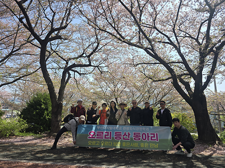 관광외식경영학과 '오르리' 동아리, 사상 벚꽃길 전략적 트래킹 실시